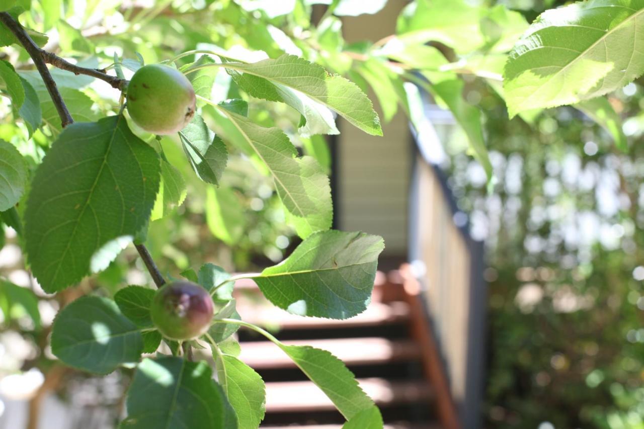 Allegra Cottage Of Leura Exterior foto